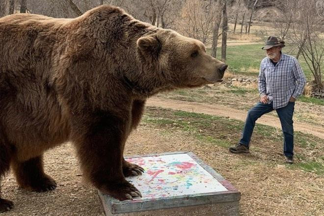 Chú gấu Bart the Bear II từng xuất hiện trong nhiều bộ phim của Mỹ, trong đó có bộ phim truyền hình nổi tiếng "Trò chơi vương quyền". Bart the Bear II vừa qua đời ở tuổi 21 (Ảnh: New York Post). Chú gấu Bart the Bear II từng xuất hiện trong nhiều bộ phim của Mỹ, trong đó có bộ phim truyền hình nổi tiếng "Trò chơi vương quyền". Bart the Bear II vừa qua đời ở tuổi 21 (Ảnh: New York Post).