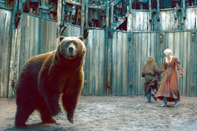 Gấu Bart còn từng có những vai diễn phụ xuất hiện thoáng qua trong rất nhiều bộ phim, trong đó có bộ phim truyền hình ăn khách "Trò chơi vương quyền" (Ảnh: New York Post). Gấu Bart còn từng có những vai diễn phụ xuất hiện thoáng qua trong rất nhiều bộ phim, trong đó có bộ phim truyền hình ăn khách "Trò chơi vương quyền" (Ảnh: New York Post).