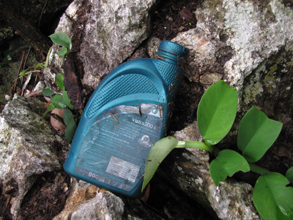 Chai dầu lâm tặc vứt lại sau khi đốn nghiến. Ảnh: Tuấn Nguyễn