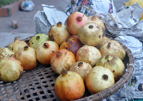 Cam nguồn gốc không rõ ràng là loại quả mới xuất hiện, sau khi người tiêu dùng được cảnh báo về lựu, nho chứa hóa chất độc từ Trung Quốc. Những quả lựu to, nhìn căng mọng và nặng khoảng 0,5 kg với giá bán 20.000 đồng/kg được người bán hàng giới thiệu là trồng ở quê