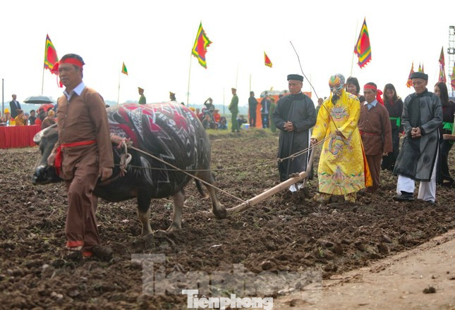 Nghi thức cày xuống đồng trong lễ hội Tịch Điền Đọi Sơn.