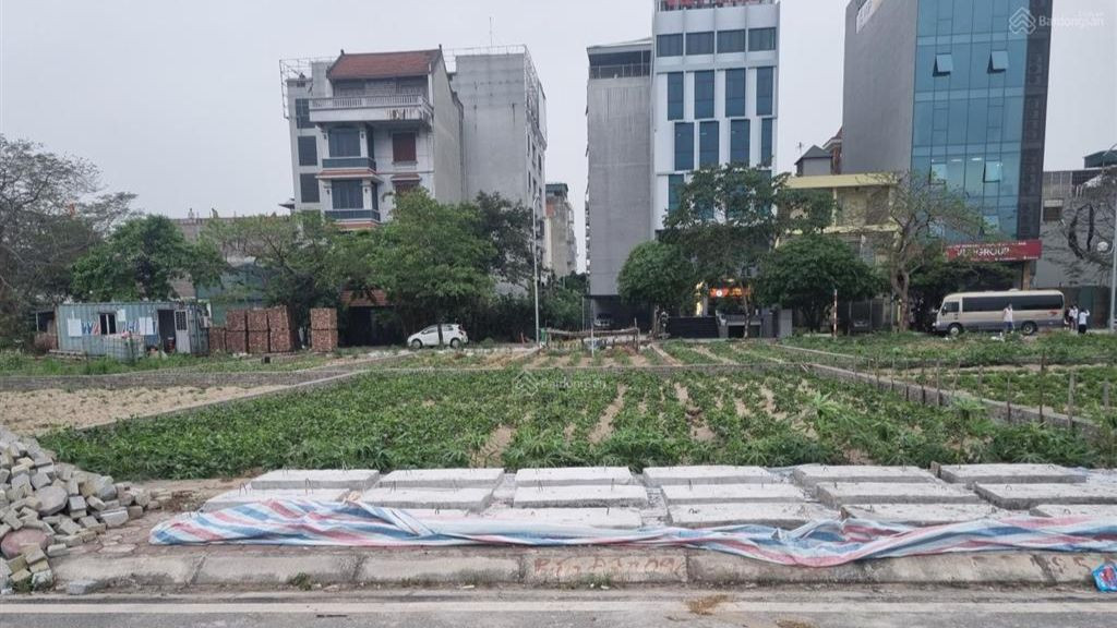 16 thửa đất tại khu đấu giá 2,55ha (phường Phúc Diễn, quận Bắc Từ Liêm, Hà Nội) được đưa ra đấu với giá đất khởi điểm cao nhất gần 120 triệu đồng/m2. Ảnh minh họa.