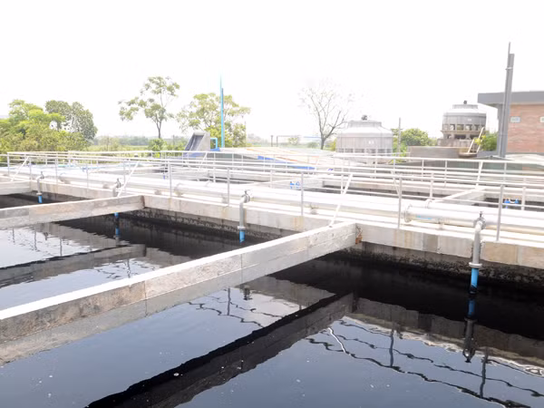 Hệ thống bể xử lý nước thải của công ty dệt 19-5 không có nắp đậy