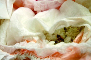 Những miếng sắt gỉ bên trong chiếc tã giấy