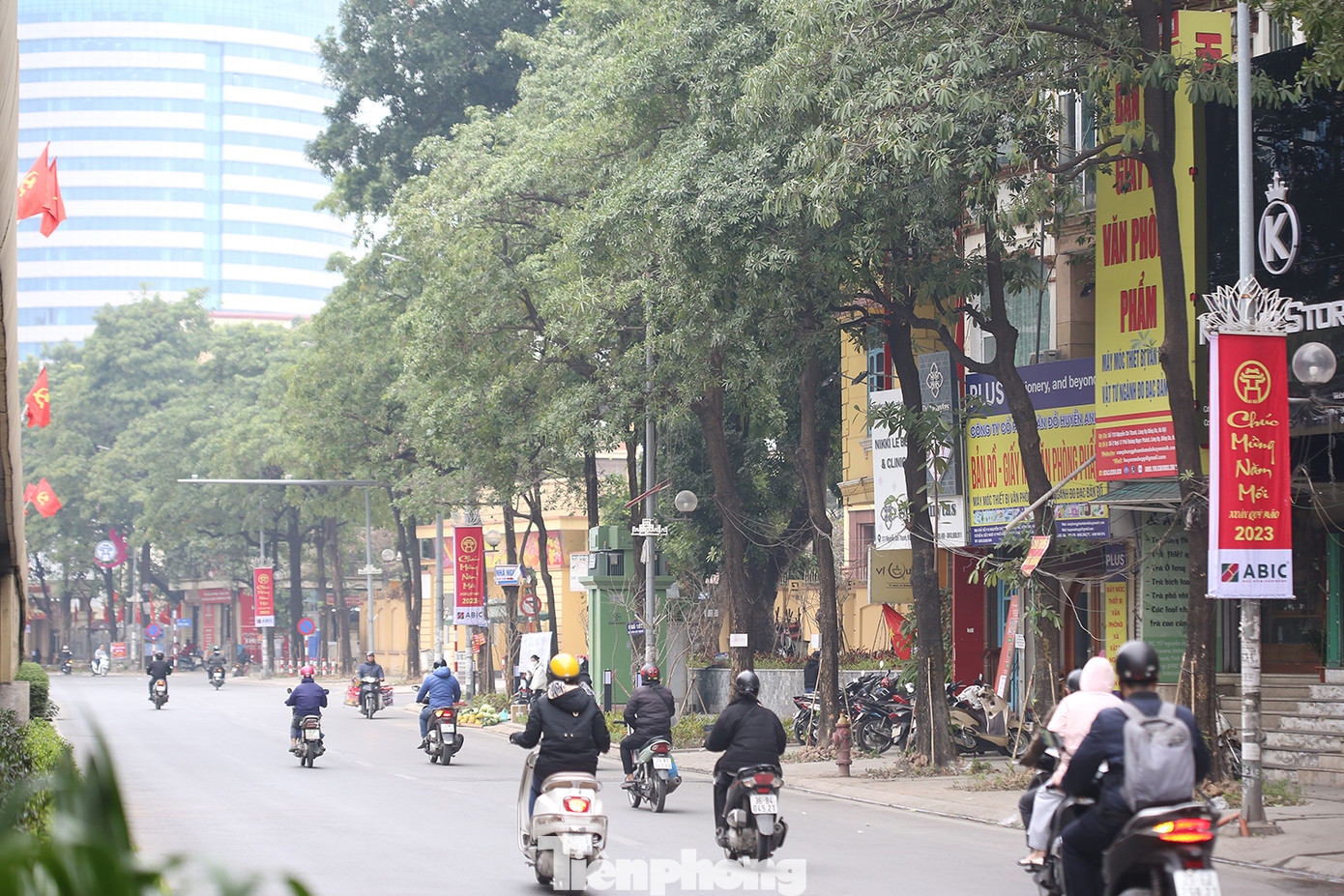 Trước đó, cùng với quá trình cải tạo tuyến phố Nguyễn Chí Thanh, quận Đống Đa cũng dự định di chuyển bớt cây hoa sữa bởi vào mùa thu, mùi hương hoa sữa quá nồng nặc. Tuy nhiên, do ý kiến còn khác nhau về vấn đề này, nên hàng hoa sữa cổ thụ trên tuyến phố này vẫn được giữ nguyên. Ảnh: Trường Phong