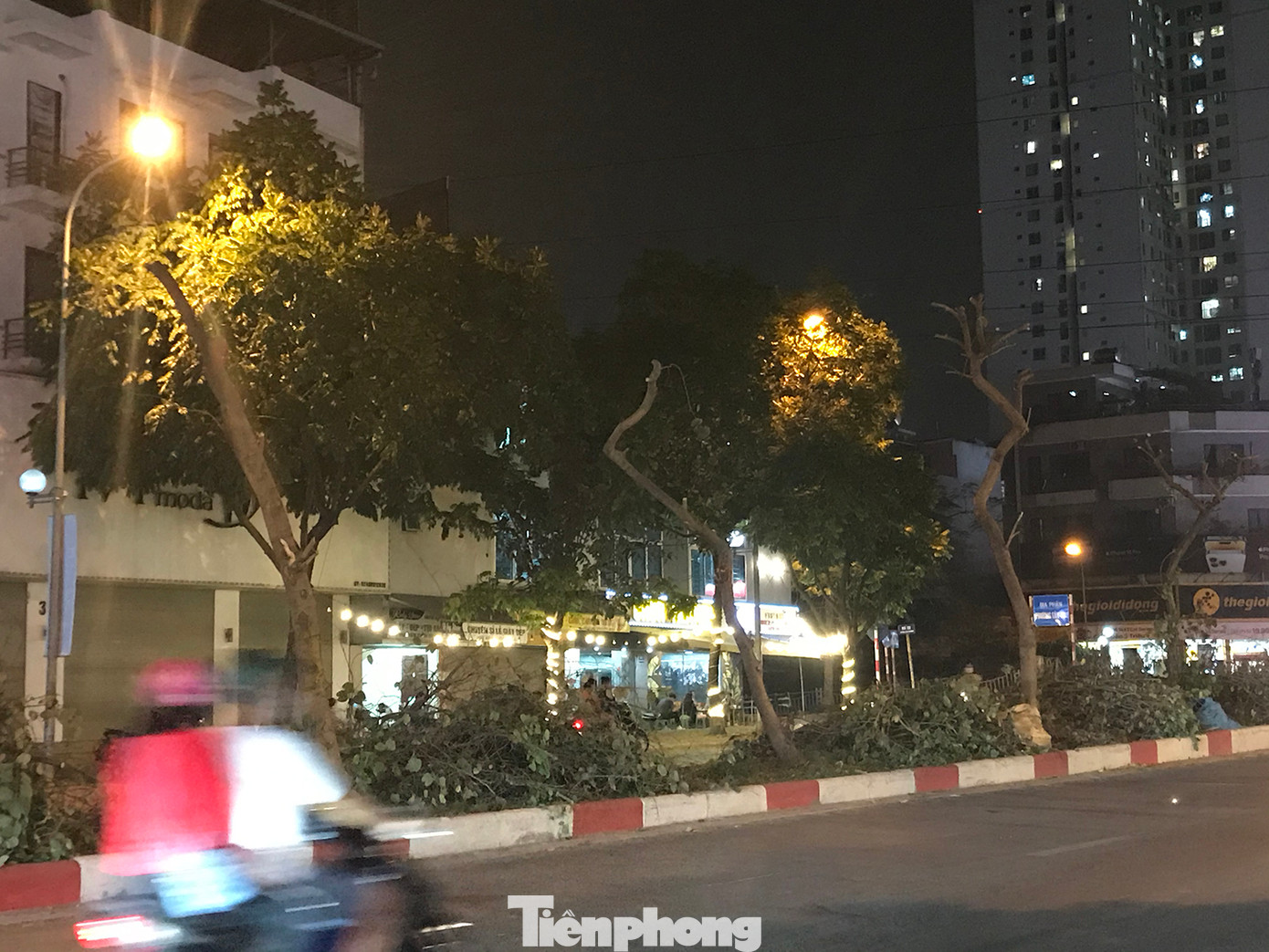 Một số người dân rất bất ngờ khi hàng cây mới mấy ngày trước còn xanh ngát, nở nhiều hoa, bỗng chốc bị cắt cụt trông như những cây gỗ. Ảnh: Trường Phong.