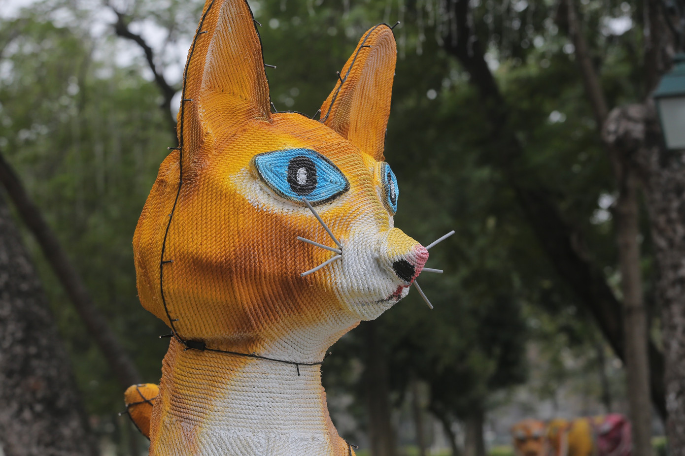 Nhìn gần, khó có thể hình dung đây là đầu và miệng của mèo. Ảnh: Duy Phạm