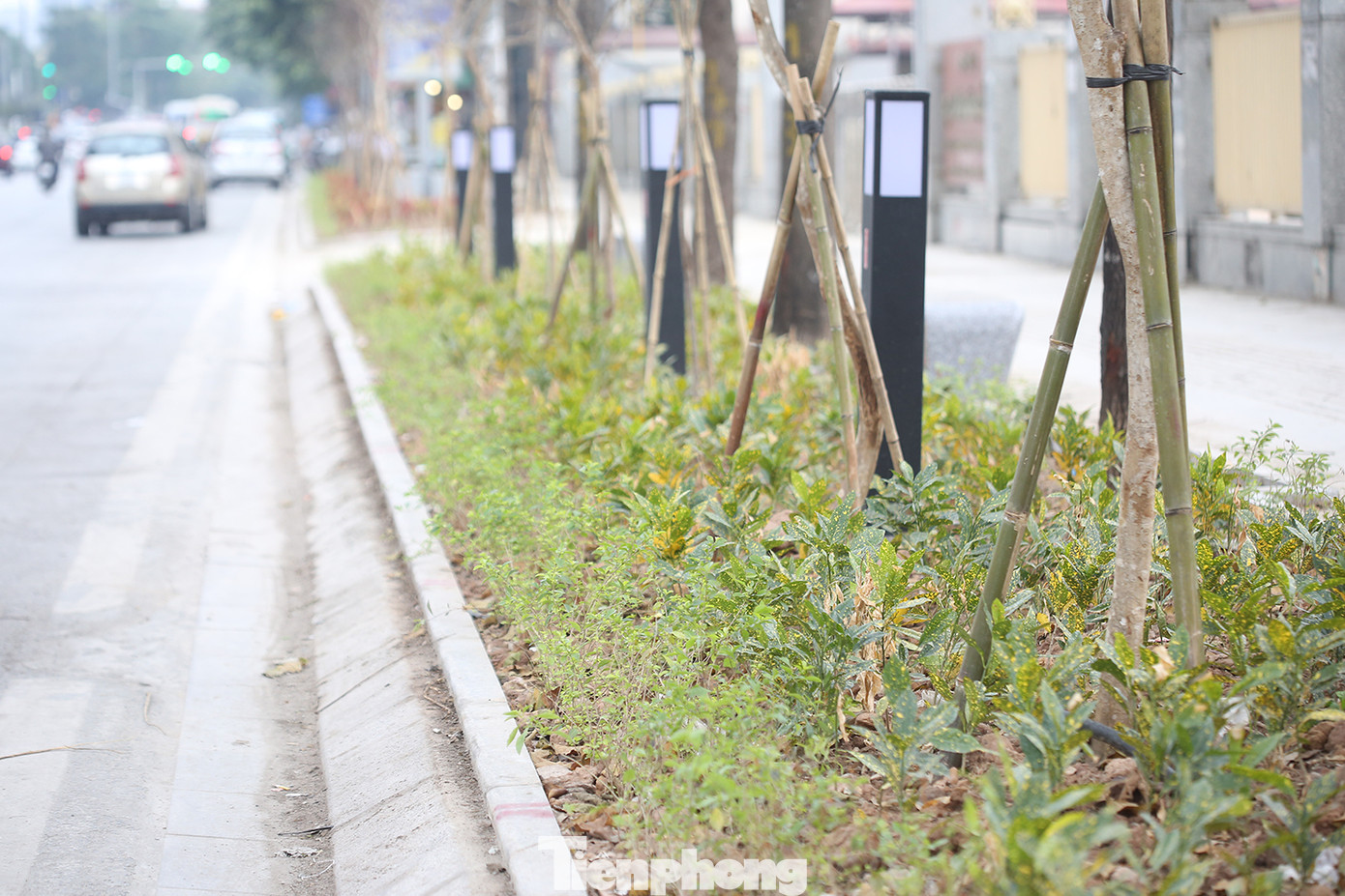 Cùng với việc lát đá tự nhiên, vỉa hè phố Nguyễn Chí Thanh được bố trí đồng bộ cây xanh, vườn hoa, hệ thống chiếu sáng. Ảnh: Trường Phong