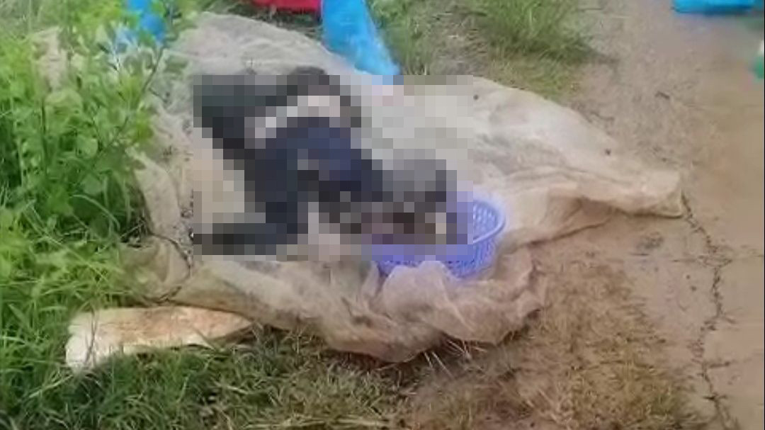 Thi thể được phát hiện ở khu vực rừng phòng hộ. Ảnh: PV.