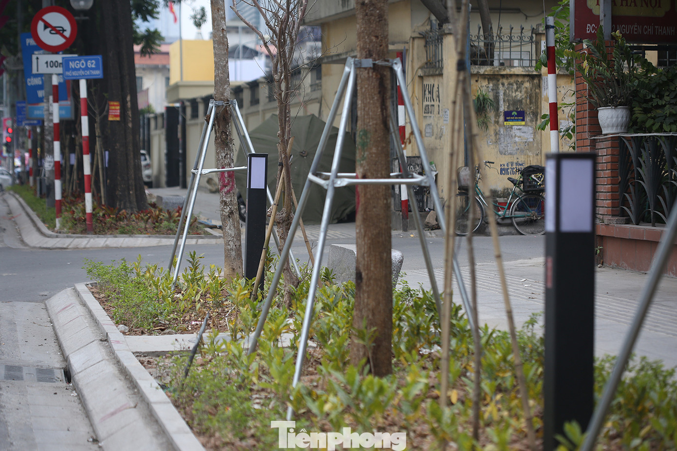 Cây xanh được trồng đồng bộ trên vỉa hè phố Nguyễn Chí Thanh. Ảnh: Trường Phong
