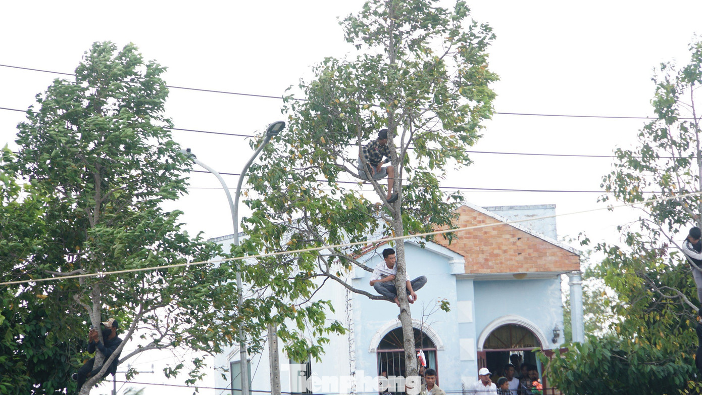 Nhiều người chọn trèo lên ngọn cây để xem đua ghe Ngo. Nhiều người chọn trèo lên ngọn cây để xem đua ghe Ngo.