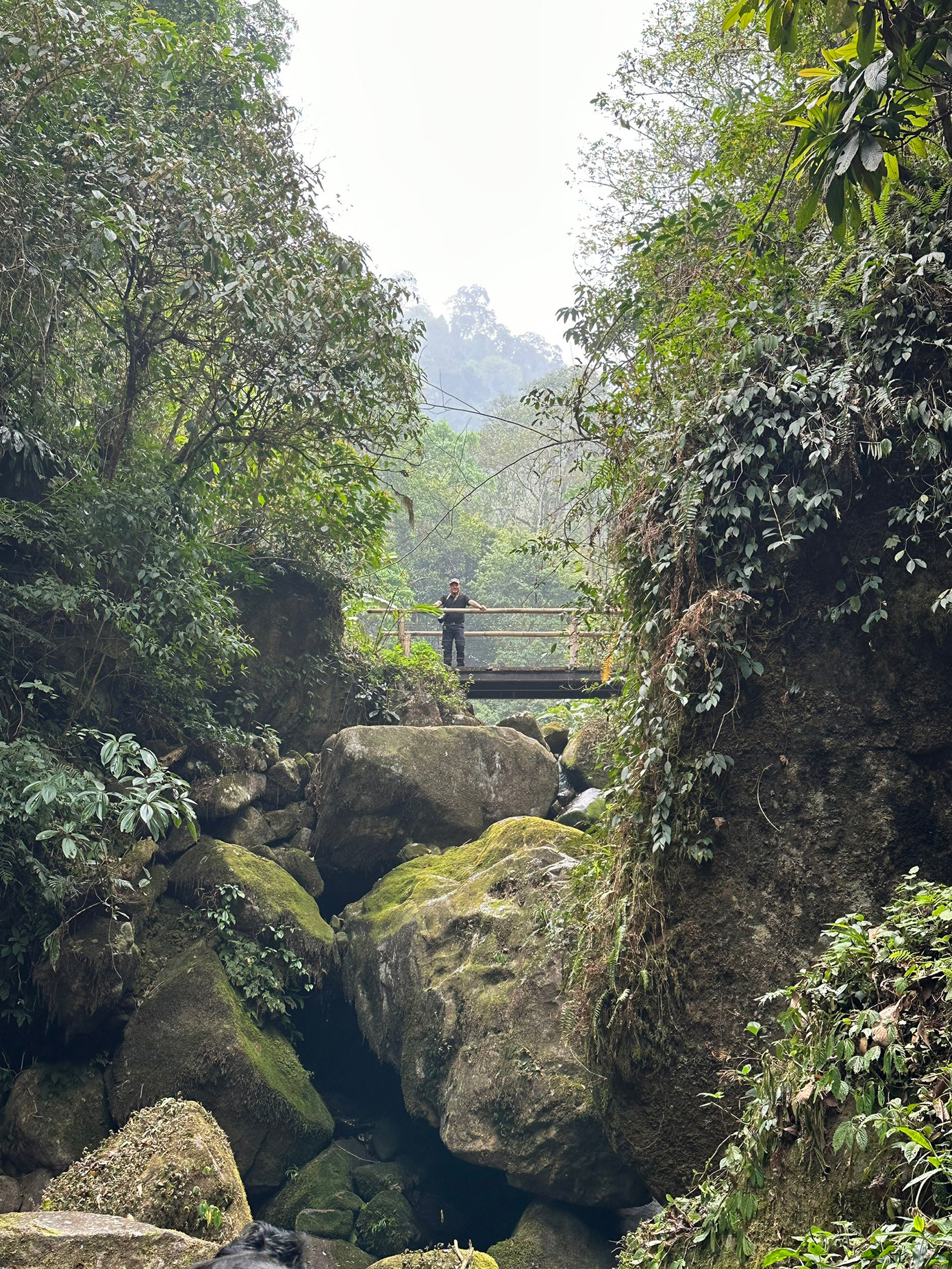 Dọc đường đi, sẽ có nhiều điểm check-in tuyệt đẹp, như trong những câu chuyện cổ tích.