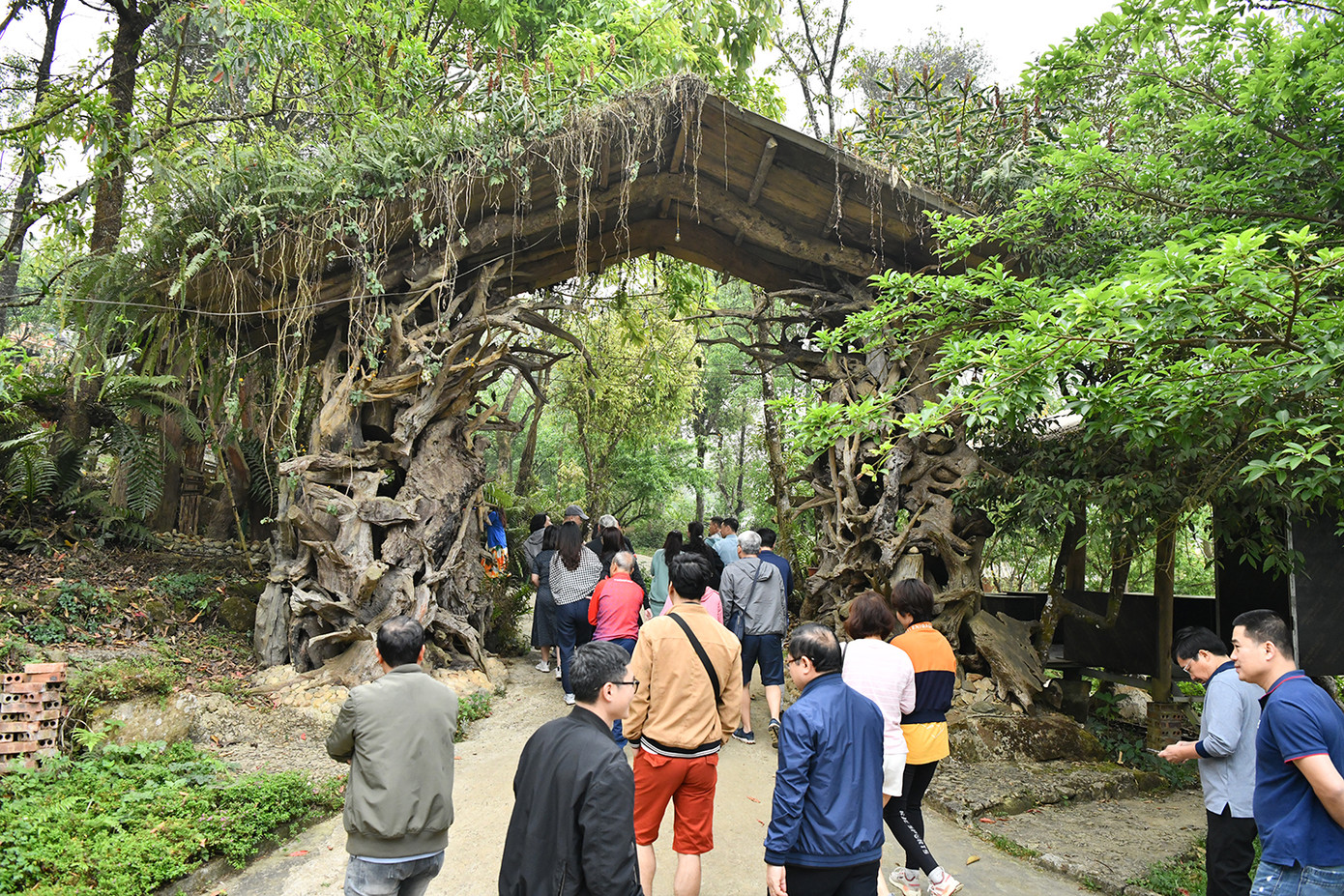 Sin Suối Hồ là một bản nhỏ của người Mông ở xã Sin Suối Hồ, huyện Phong Thổ, cách thành phố Lai Châu gần 30km nằm ở độ cao gần 1500 m so với mực nước biển. Nơi đây là một điểm du lịch hấp dẫn, thu hút khá nhiều du khách trong và ngoài nước đến trải nghiệm.