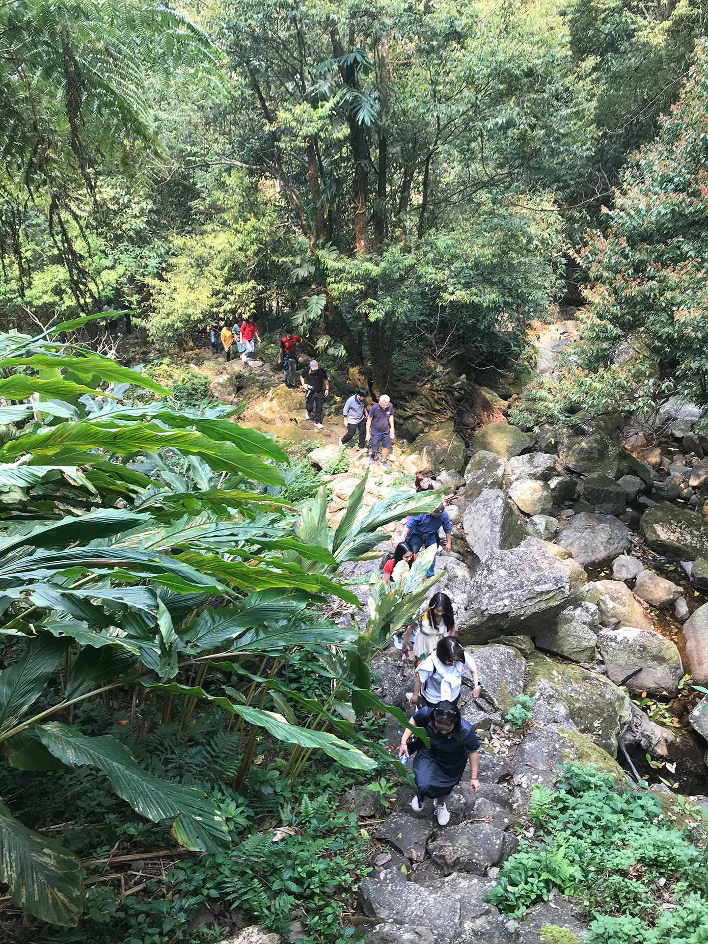 Đường lên thác Tình yêu ở bản Sin Suối Hồ.