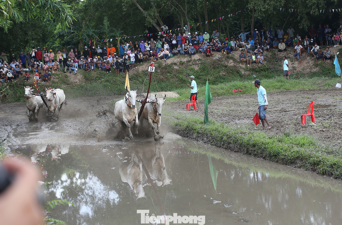 Đôi bò 01 thua đôi bò số 19 của anh Phúc trong trận chung kết. Đôi bò 01 thua đôi bò số 19 của anh Phúc trong trận chung kết.