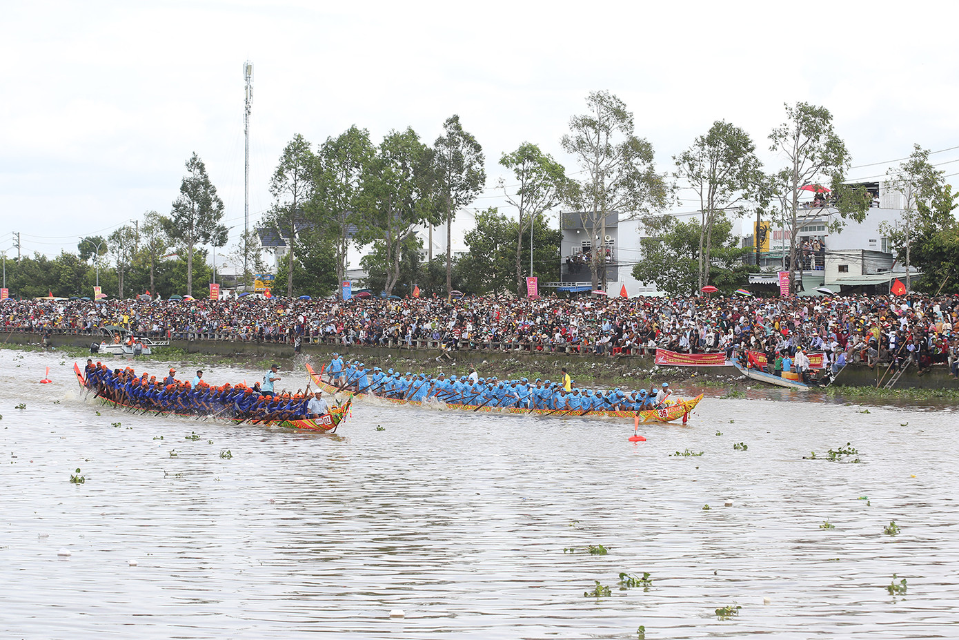 Những cuộc tranh tài gay cấn của các đội ghe Ngo trên dòng sông Maspero, thành phố Sóc Trăng. Ảnh: Trường Phong. Những cuộc tranh tài gay cấn của các đội ghe Ngo trên dòng sông Maspero, thành phố Sóc Trăng. Ảnh: Trường Phong.