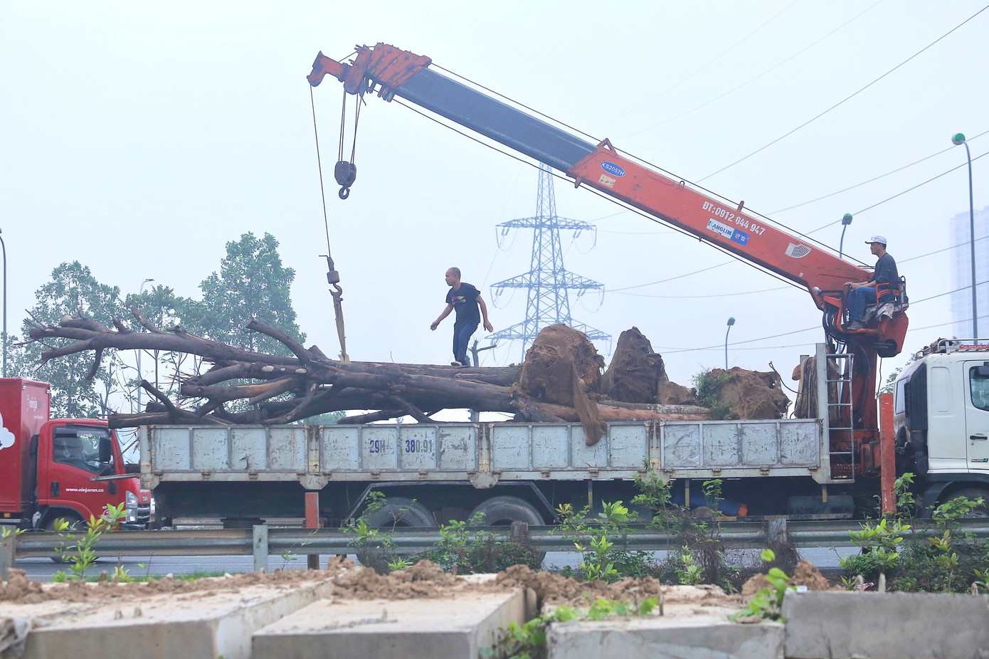 Theo ghi nhận của phóng viên Tiền Phong, ngày 24/2, nhiều cây trong số hàng cây nói trên đã được nhổ để mang đi. Ảnh: Duy Phạm.