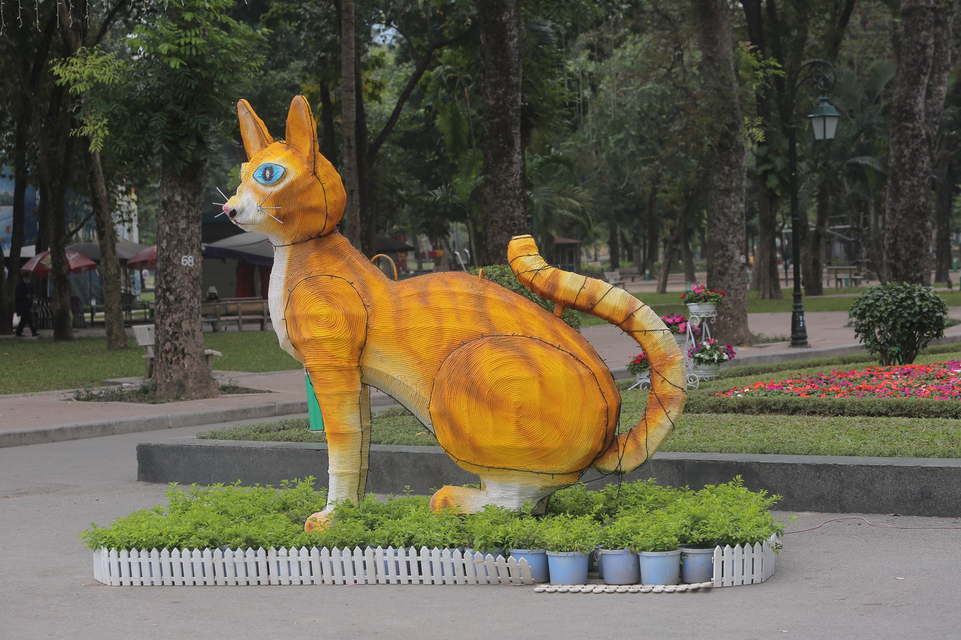 Với nhiều người, dáng ngồi của chú mèo này lại giống thỏ.