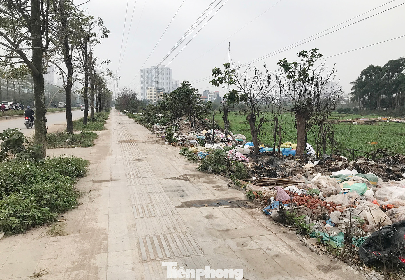 Cũng trên địa bàn thành phố Hà Nội, tuyến đường Chu Văn An (còn gọi đường Nguyễn Xiển - Xa La) vỉa hè cũng được lát đá tự nhiên, chạy qua nhiều vị trí giáp với ruộng rau muống. Ảnh: Trường Phong.