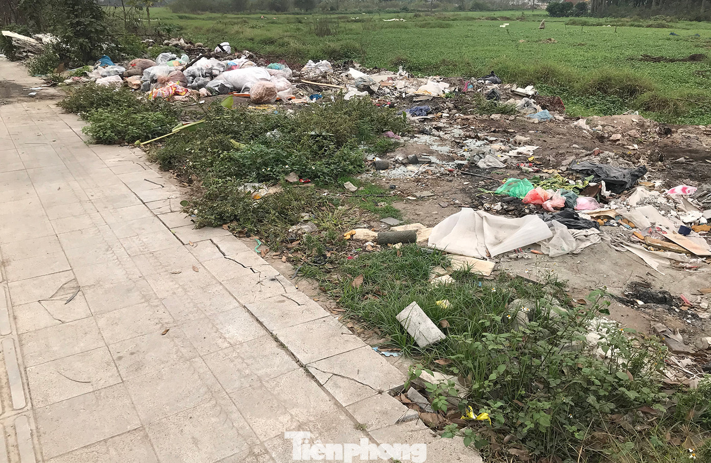 Do công trình hai bên đường còn chưa hoàn thiện, đồng bộ, nên nhiều vị trí vỉa hè thành điểm tập kết rác thải, nơi tiếp giáp với các ruộng rau muống. Ảnh: Trường Phong.