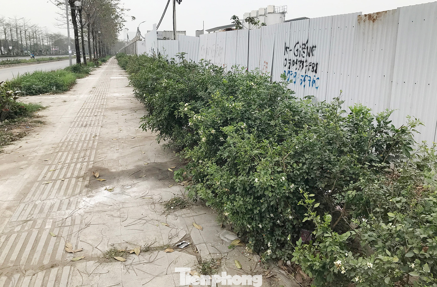 Theo nhiều chuyên gia, việc lát đá vỉa hè không đảm bảo theo các tiêu chuẩn, quy chuẩn theo quy định sẽ gây nhiều hệ luỵ về sau, đặc biệt là chi phí duy tu, bảo dưỡng, sửa chữa. Phó Giám đốc Sở Xây dựng Hà Nội Mạc Đình Minh thông tin, Sở Xây dựng Hà Nội sẽ tiến hành thanh tra, kiểm tra các dự án lát đá vỉa hè trên địa bàn thành phố. Ảnh: Trường Phong.