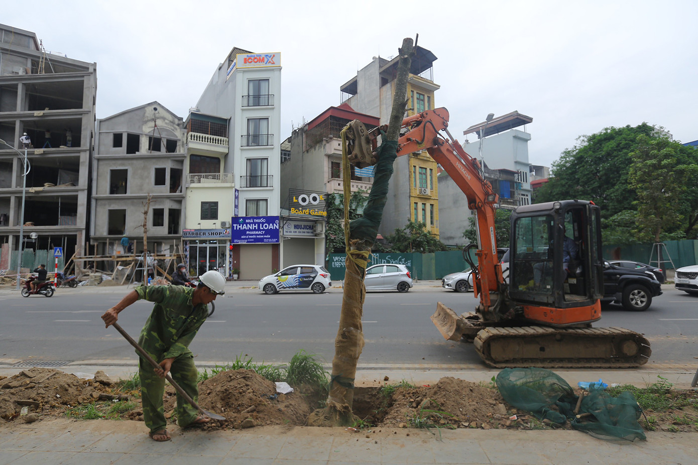 Trước đó, báo chí phản ánh, một loạt cây xanh trên đường Huỳnh Thúc Kháng kéo dài bị chết khô. Những cây bị chết đã được nhổ bỏ, chuyển đi để trồng mới những cây xanh khác. Ảnh: Duy Phạm.