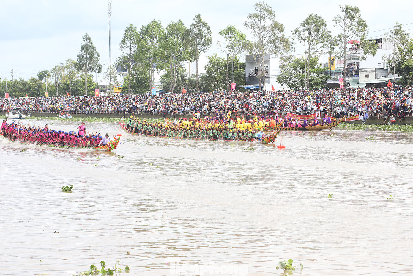 Những cuộc tranh tài gay cấn của các đội ghe Ngo trên dòng sông Maspero, thành phố Sóc Trăng. Ảnh: Trường Phong. Những cuộc tranh tài gay cấn của các đội ghe Ngo trên dòng sông Maspero, thành phố Sóc Trăng. Ảnh: Trường Phong.