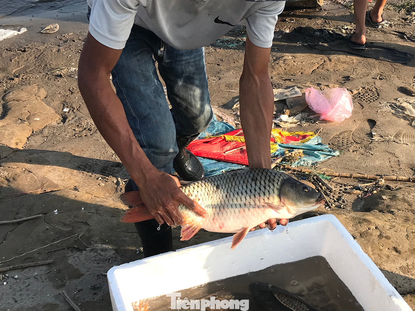 Những người này chia sẻ, những con cá vừa được phóng sinh còn đang "hoảng loạn", dễ mắc lưới. Ảnh: Trường Phong