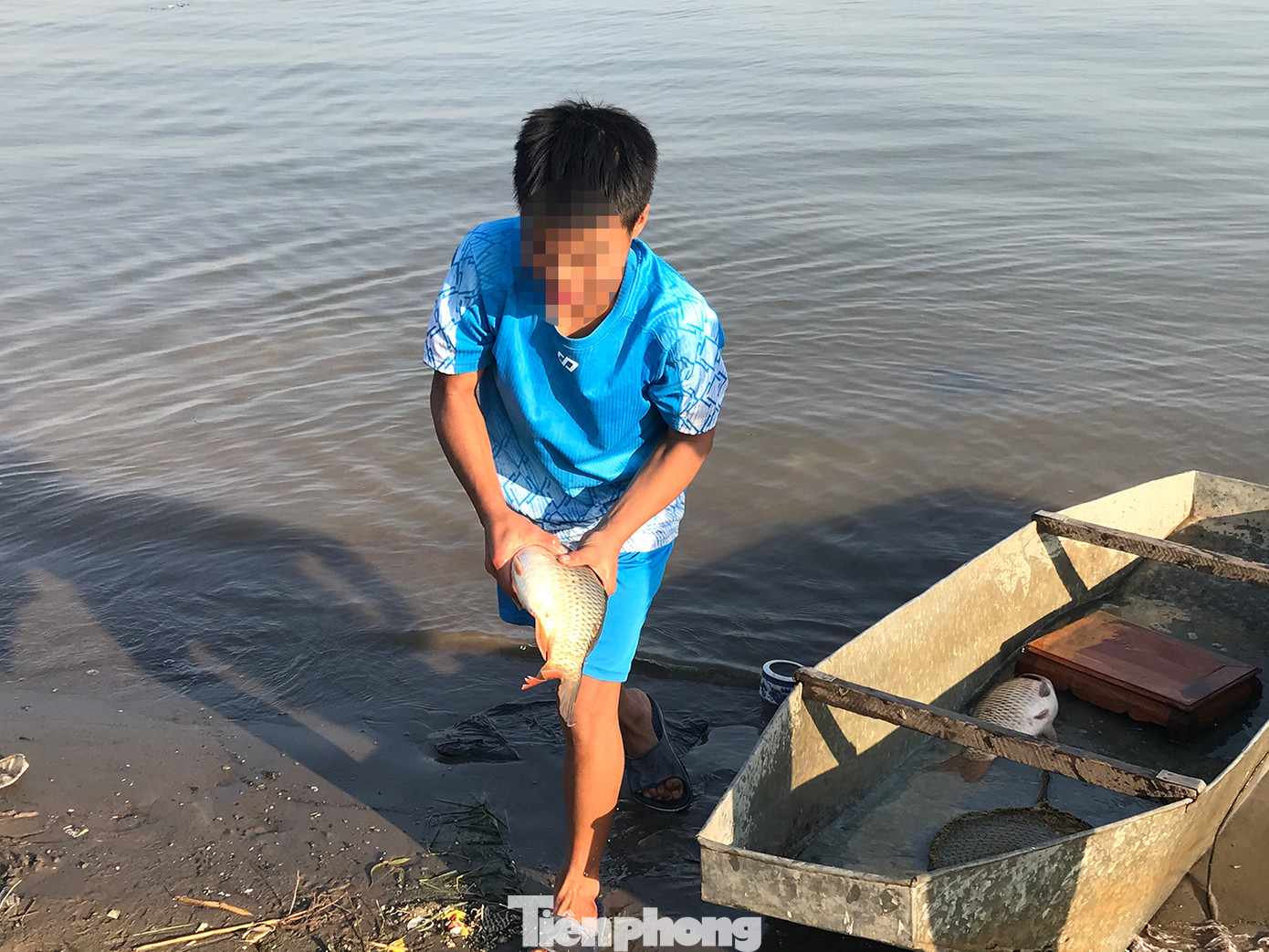 Theo chia sẻ của những người này, trước đó có một người dân thả 9 con cá chép loại to xuống sông Hồng. Ảnh: Trường Phong