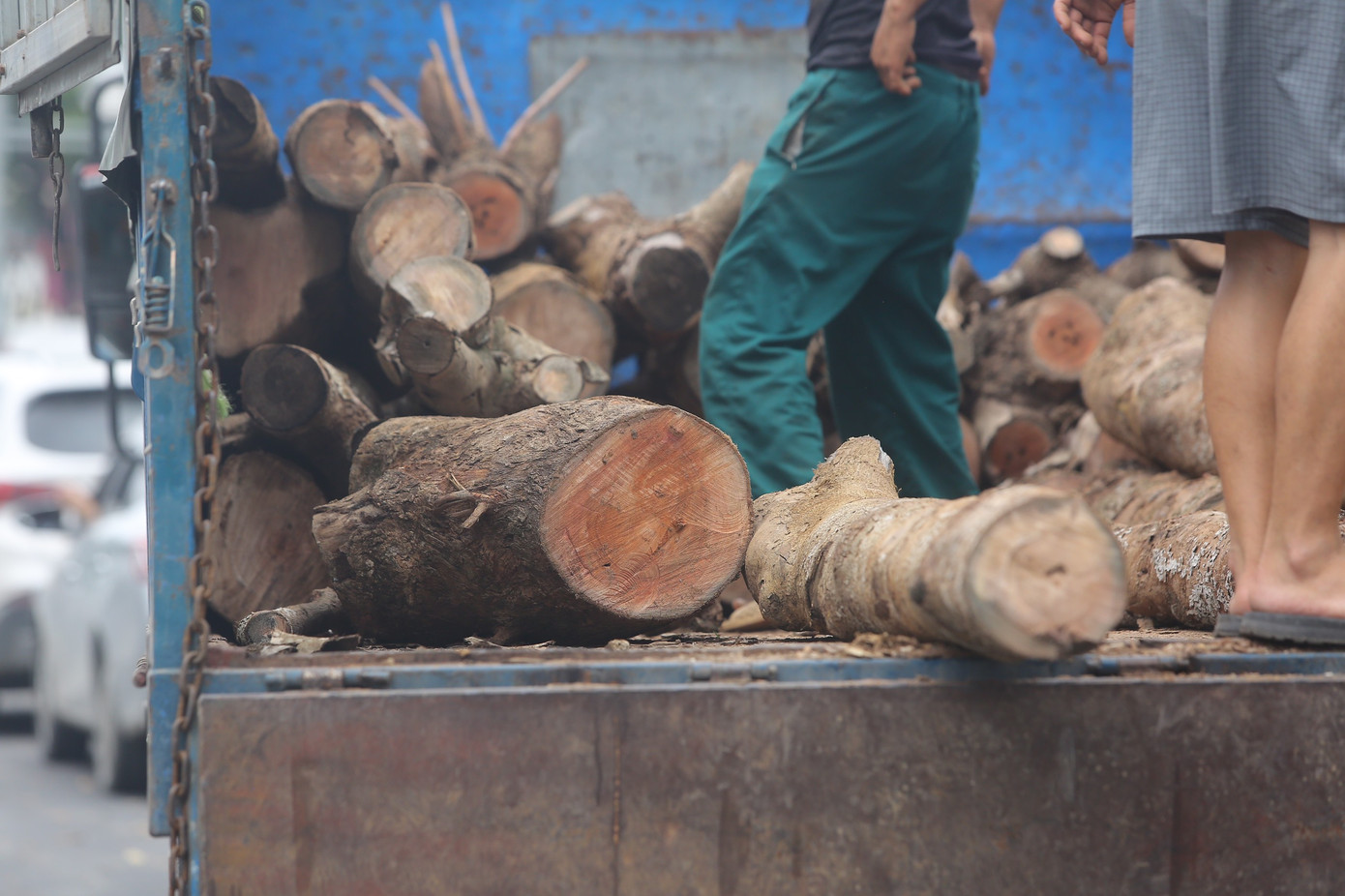 Ban Quản lý dự án đầu tư xây dựng quận Đống Đa đã yêu cầu nhà thầu thi công đường Huỳnh Thúc Kháng kéo dài khẩn trương thay thế các cây xanh nói trên. Ảnh: Duy Phạm.