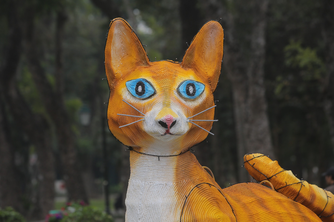 Râu của mèo cũng bị liên tưởng tới râu chuột.