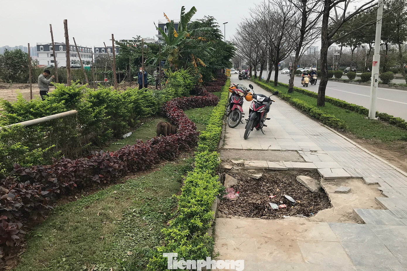 Một khu vực hư hỏng lớn trên vỉa hè đường Trịnh Văn Bô. Ảnh: Trường Phong