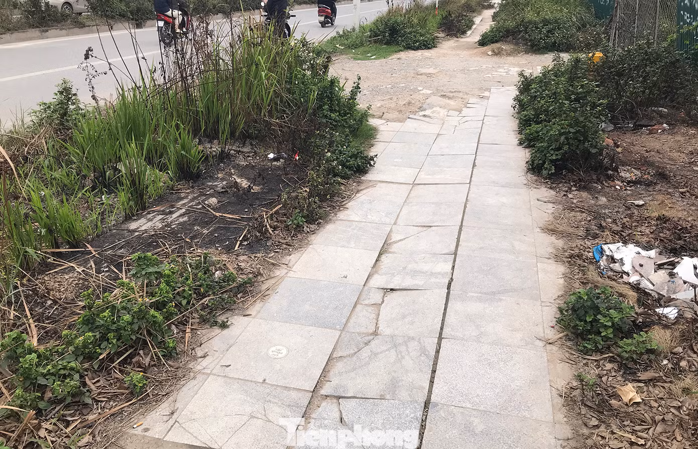 Đáng chú ý, một số vị trí vỉa hè lát đá tự nhiên đã hư hỏng gần như toàn bộ. Ảnh: Trường Phong.