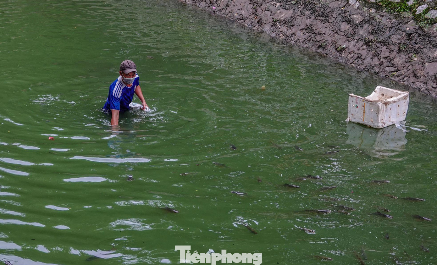 Nước sông Tô Lịch chuyển thành màu xanh khi được bổ cập nước từ Hồ Tây. Ảnh: Trường Phong Nước sông Tô Lịch chuyển thành màu xanh khi được bổ cập nước từ Hồ Tây. Ảnh: Trường Phong
