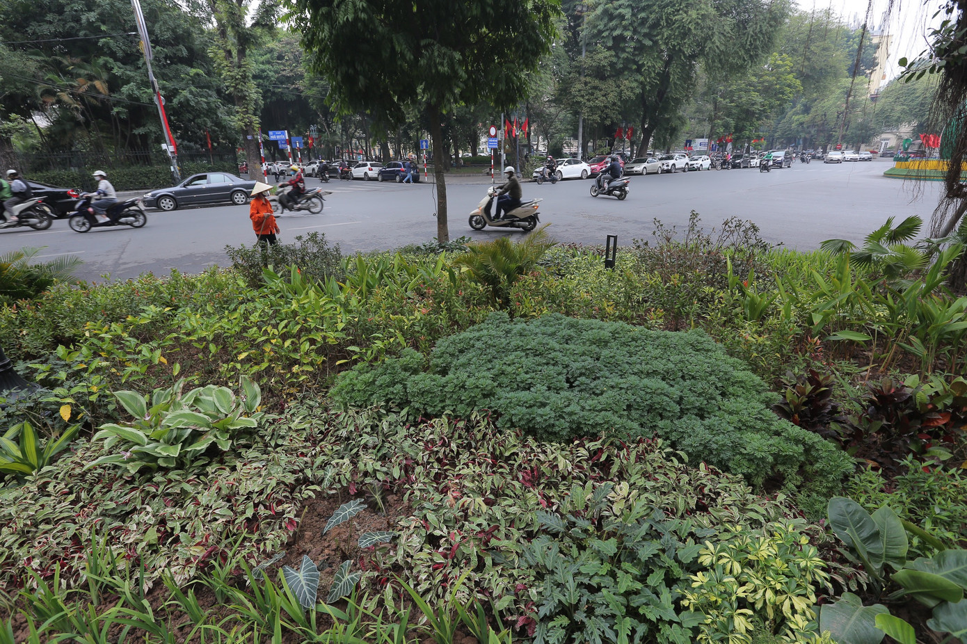 Đơn vị thiết kế ý tưởng cho biết, bản sắc của vườn hoa này là vị trí nằm giữa trung tâm Hà Nội, gắn với trung tâm Hà Nội. Vì thế, khi cải tạo đã đẩy không gian xanh ra tận mép hè, để không chỉ những người sinh hoạt trong vườn hoa, mà cả những người đi lại trên đường phố có thể gần gũi với không gian xanh nhiều hơn, trong khi phần giữa vườn hoa dành cho sinh hoạt cộng đồng. Ảnh: Duy Phạm Đơn vị thiết kế ý tưởng cho biết, bản sắc của vườn hoa này là vị trí nằm giữa trung tâm Hà Nội, gắn với trung tâm Hà Nội. Vì thế, khi cải tạo đã đẩy không gian xanh ra tận mép hè, để không chỉ những người sinh hoạt trong vườn hoa, mà cả những người đi lại trên đường phố có thể gần gũi với không gian xanh nhiều hơn, trong khi phần giữa vườn hoa dành cho sinh hoạt cộng đồng. Ảnh: Duy Phạm