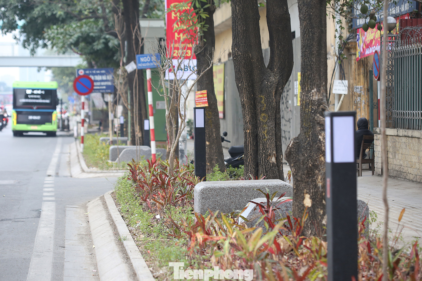 Một số ghế đá được bố trí ngay dưới gốc cây hoa sữa cổ thụ trên phố Nguyễn Chí Thanh. Ảnh: Trường Phong