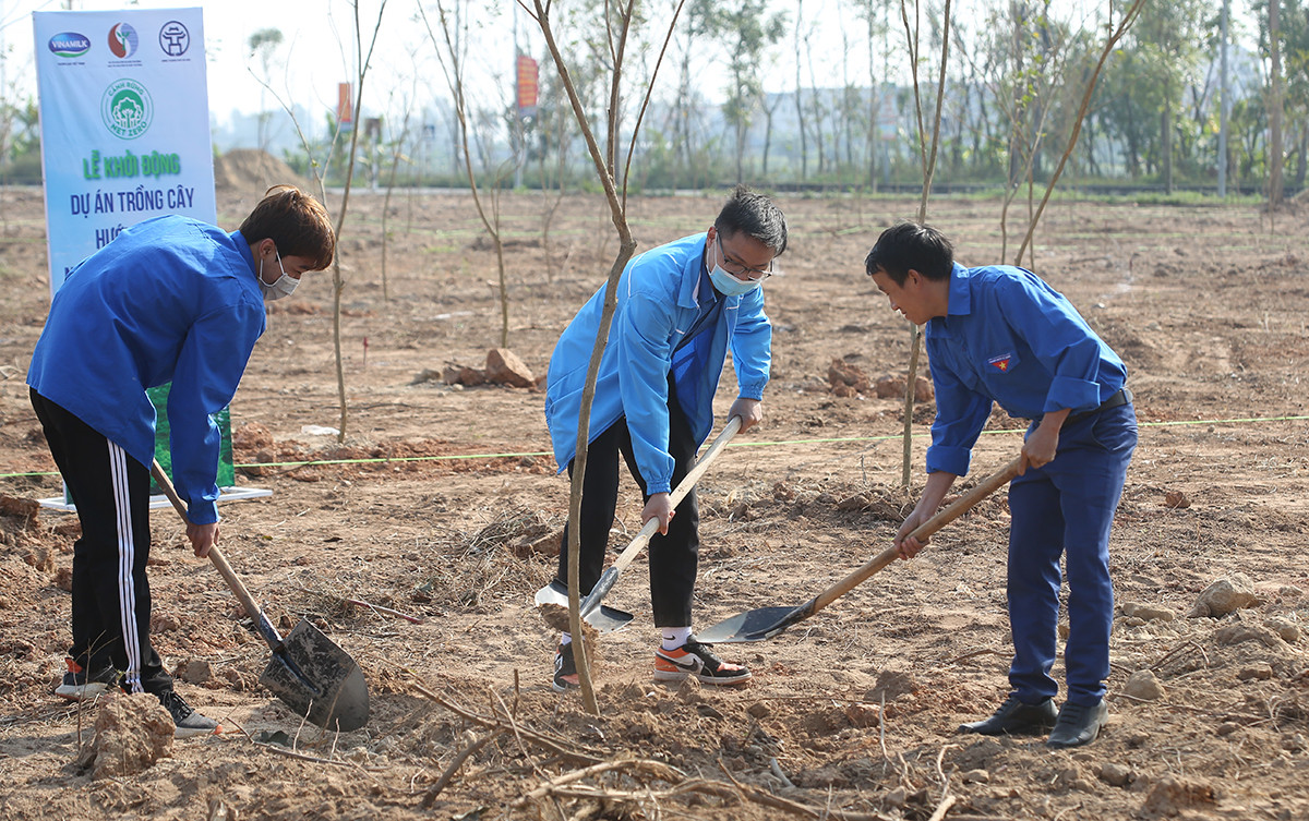 Đoàn viên, thanh niên huyện Mê Linh trồng cây tại chương trình. Ảnh: PV Đoàn viên, thanh niên huyện Mê Linh trồng cây tại chương trình. Ảnh: PV