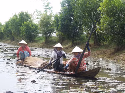 Sinh kế của nông dân ĐBSCL khó khăn hơn kể từ khi tám đập thủy điện được xây dựng ở thượng nguồn Mekong thuộc lãnh thổ Trung Quốc