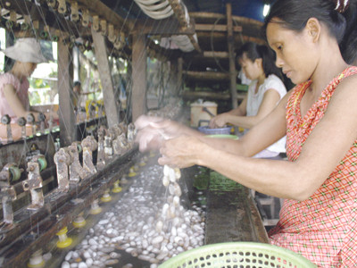 Hộ gia đình ông Lượng cố gắng giữ nghề của tổ tiên. Ảnh: Nguyễn Thành 