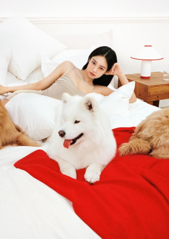 Jennie đang tận hưởng kỳ nghỉ ở nhà cùng các chú chó 'cưng' của mình (theo cập nhật từ tài khoản SNS ngày 13/12). Tin đồn chia tay giữa Jennie và V (BTS) cũng 'dấy lên' vào ngày 6/12. Jennie đang tận hưởng kỳ nghỉ ở nhà cùng các chú chó 'cưng' của mình (theo cập nhật từ tài khoản SNS ngày 13/12). Tin đồn chia tay giữa Jennie và V (BTS) cũng 'dấy lên' vào ngày 6/12.