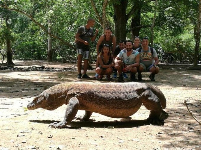 Đây là quốc gia duy nhất có thể ngắm rồng Komodo trong tự nhiên?