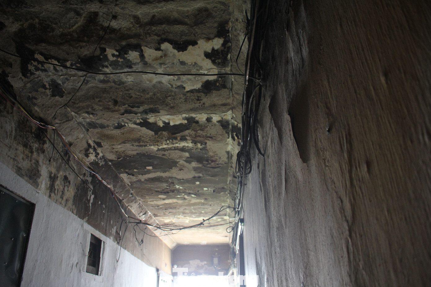 Do thời gian xây dựng lâu năm, các mảng tường trong KTT đều bị bong tróc, rễ cây ăn vào tường trong khi sắt thép gia cố bị hoen gỉ từ lâu. Do thời gian xây dựng lâu năm, các mảng tường trong KTT đều bị bong tróc, rễ cây ăn vào tường trong khi sắt thép gia cố bị hoen gỉ từ lâu.