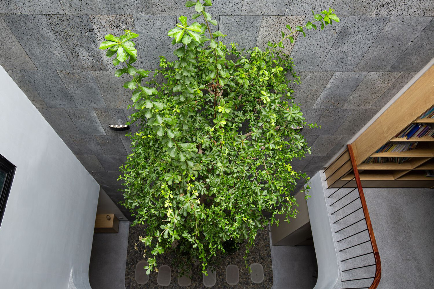 Theo kiến trúc sư, yếu tố tự nhiên đóng vai trò quan trọng trong việc tạo nên một không gian kiến trúc độc đáo vừa giản dị, mộc mạc, mang lại cảm giác bình yên cho những người sống trong ngôi nhà ngập tràn ánh nắng và cây xanh. Theo kiến trúc sư, yếu tố tự nhiên đóng vai trò quan trọng trong việc tạo nên một không gian kiến trúc độc đáo vừa giản dị, mộc mạc, mang lại cảm giác bình yên cho những người sống trong ngôi nhà ngập tràn ánh nắng và cây xanh.