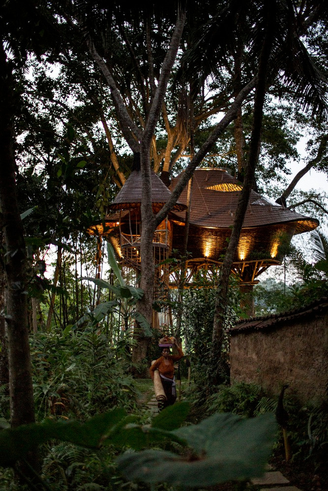 Điều đặc biệt của ngôi nhà là làm hoàn toàn bằng tre, dùng chính 3 thân cây cổ thụ vẫn đang sinh trưởng để làm trụ nhà.