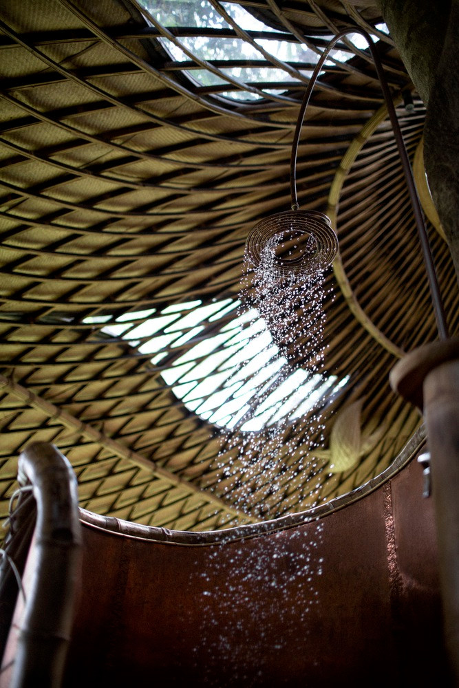 Mái nhà là một cấu trúc nhẹ bao bọc không gian xung quanh ba cây cổ thụ.