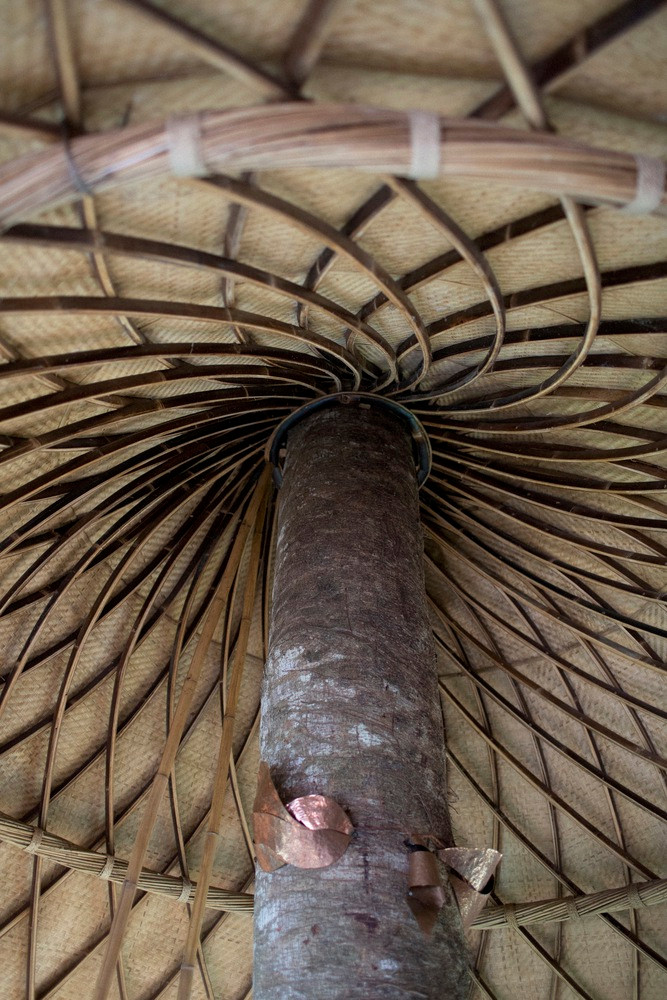 Mái nhà là một cấu trúc nhẹ bao bọc không gian xung quanh ba cây cổ thụ.