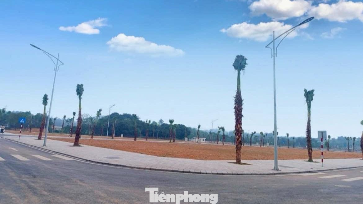 Tổng số tiền trúng đấu giá 90 lô đất ở Bắc Giang là hơn 88,3 tỷ đồng, số tiền bỏ cọc gần 10 tỷ đồng. Tổng số tiền trúng đấu giá 90 lô đất ở Bắc Giang là hơn 88,3 tỷ đồng, số tiền bỏ cọc gần 10 tỷ đồng.