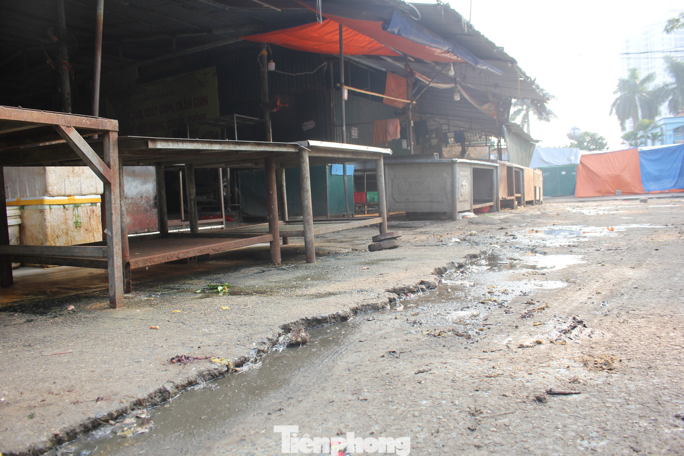Đặc biệt, khu vực buôn bán thủy, hải sản được bố trí sơ sài, không được vệ sinh sạch sẽ, nước tù đọng nên sau mỗi buổi họp chợ, mùi hôi thối thu hút ruồi nhặng khắp nơi.