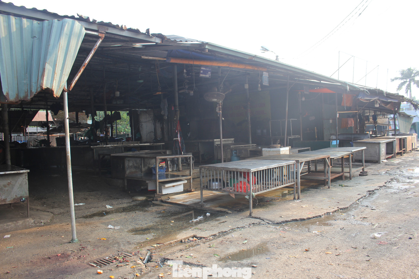 Đặc biệt, khu vực buôn bán thủy, hải sản được bố trí sơ sài, không được vệ sinh sạch sẽ, nước tù đọng nên sau mỗi buổi họp chợ, mùi hôi thối thu hút ruồi nhặng khắp nơi.