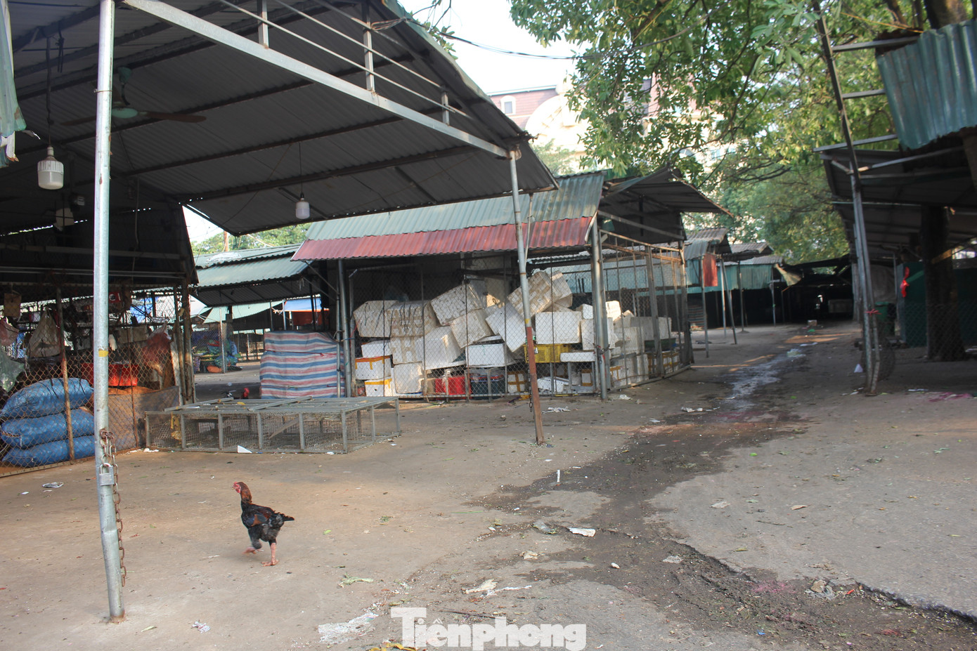 Nhiều người dân xung quanh khu vực phản ánh tình trạng này đã xảy ra thời gian dài khiến môi trường xung quanh bị ô nhiễm, ảnh hưởng đến cuộc sống sinh hoạt của họ.